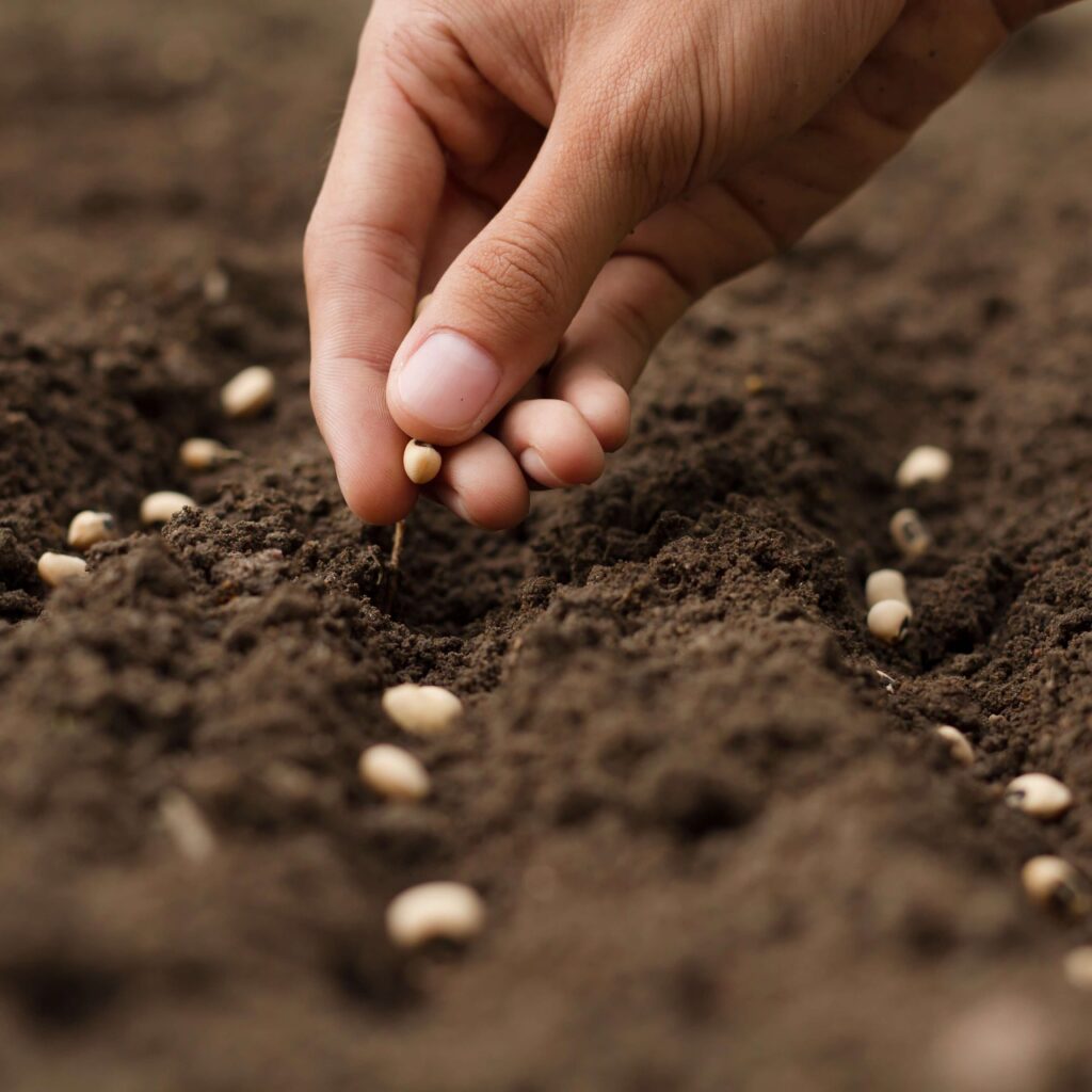 Export Hub supplies high-quality calcium carbonate from Egypt for global industries, with reliable export logistics, quality control, and timely delivery.